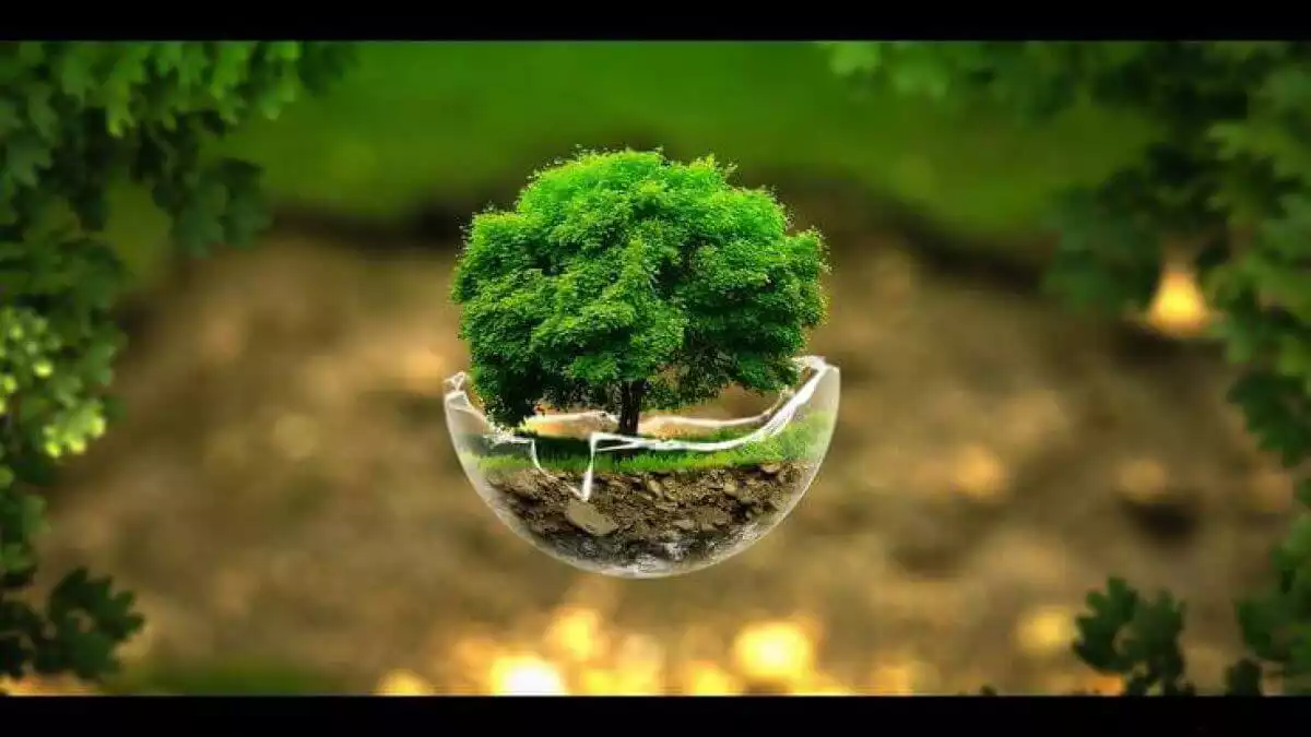 AGRIFORLAND — Agriculture, Environnement, Côte d'Ivoire