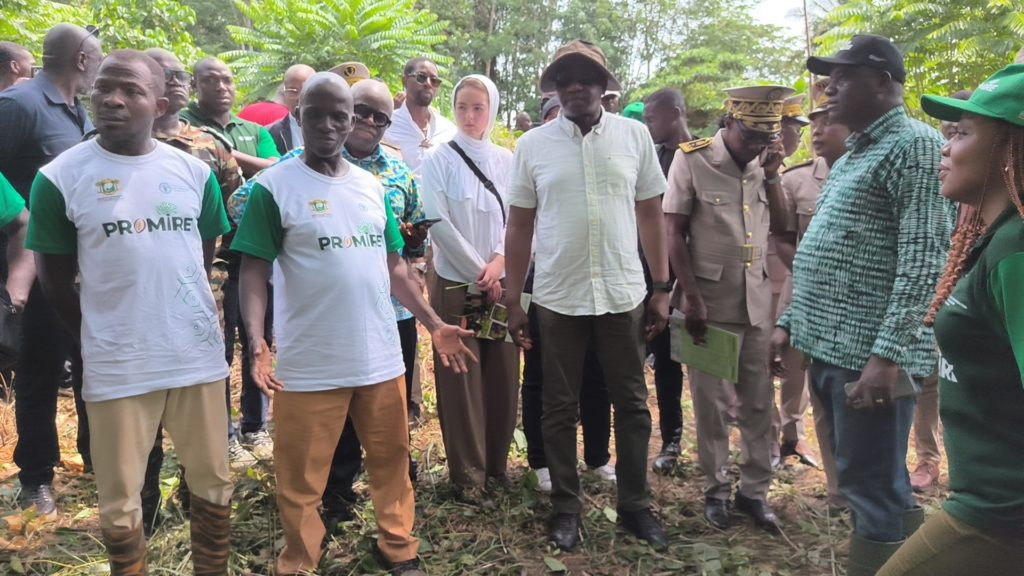 AGRIFORLAND — Agriculture, Environnement et Expertise en Côte d'Ivoire